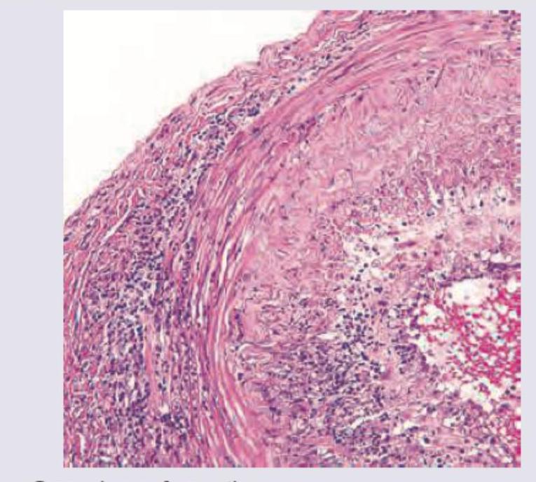 Image for question 259