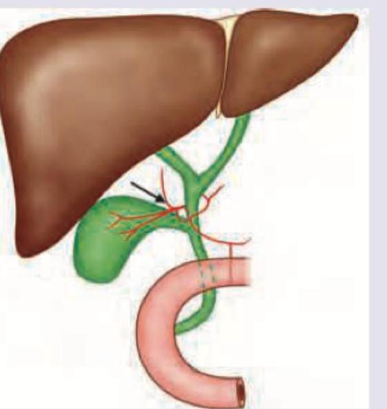 Image for question 7