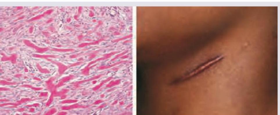 Image for question 259