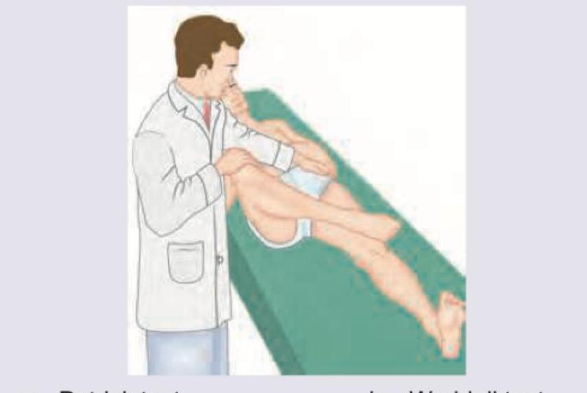 Image for question 924