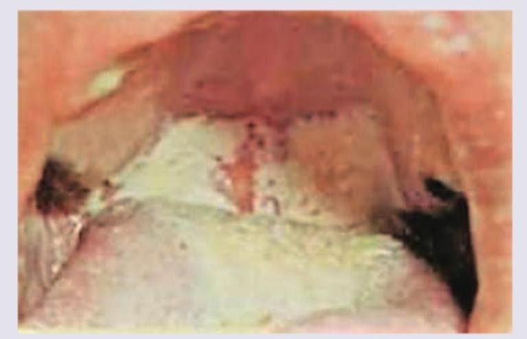 Image for question 4