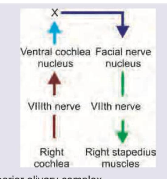 Image for question 3
