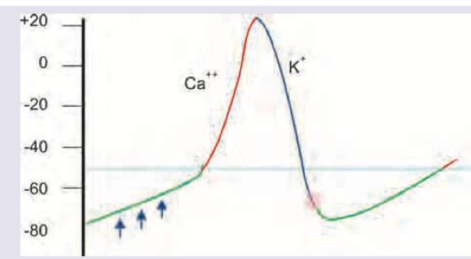 Image for question 730