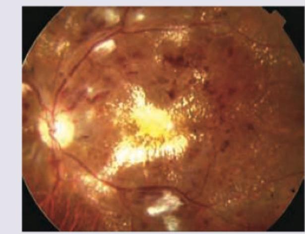 Image for question 12