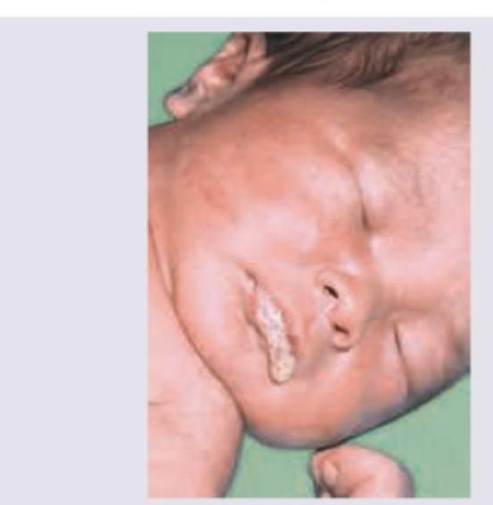 Image for question 12