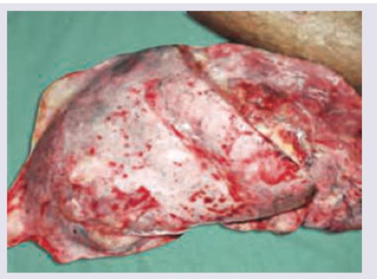 Image for question 10