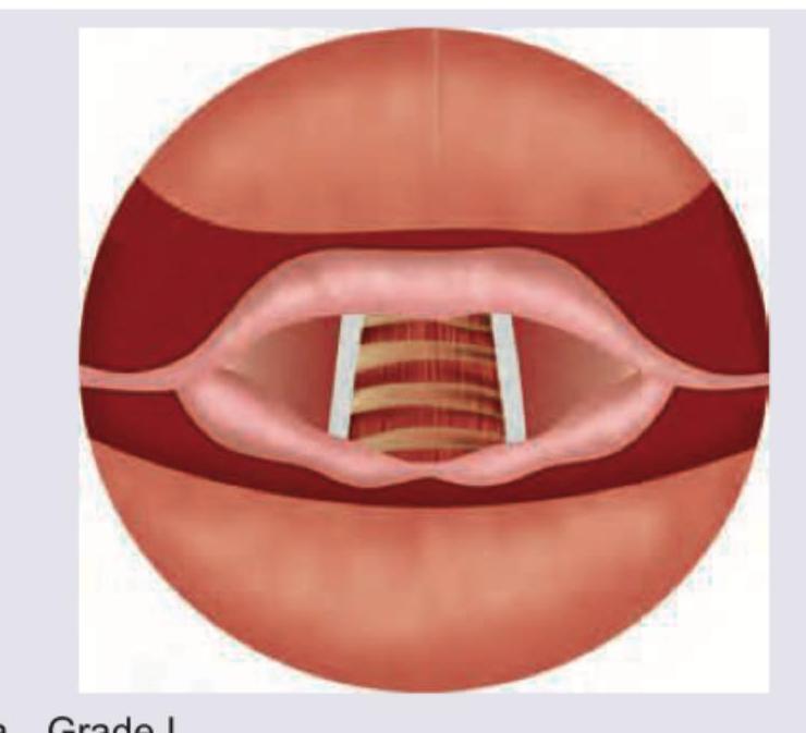 Image for question 9