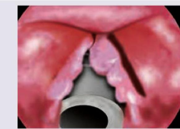 Image for question 10