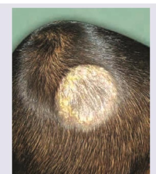 Image for question 121