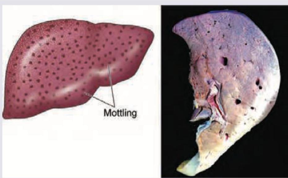 Image for question 356