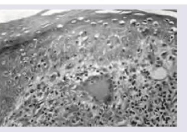 Image for question 8