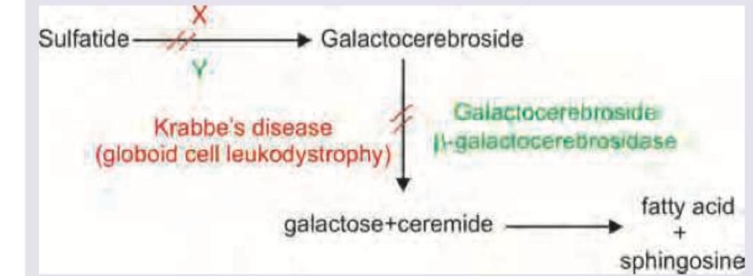 Image for question 631