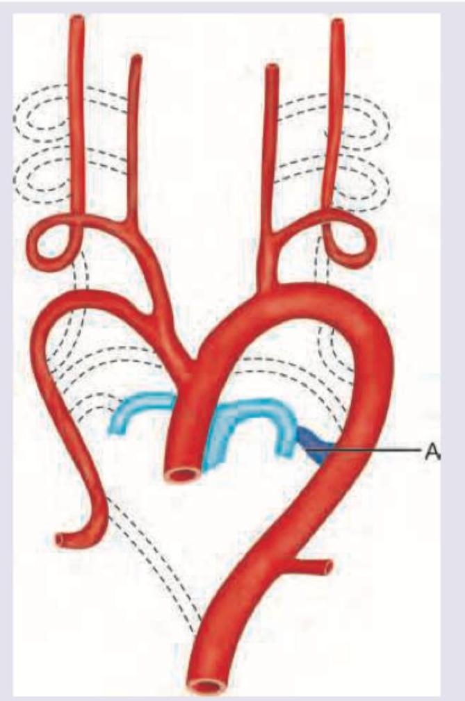 Image for question 9