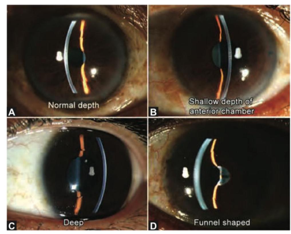 Image for question 9