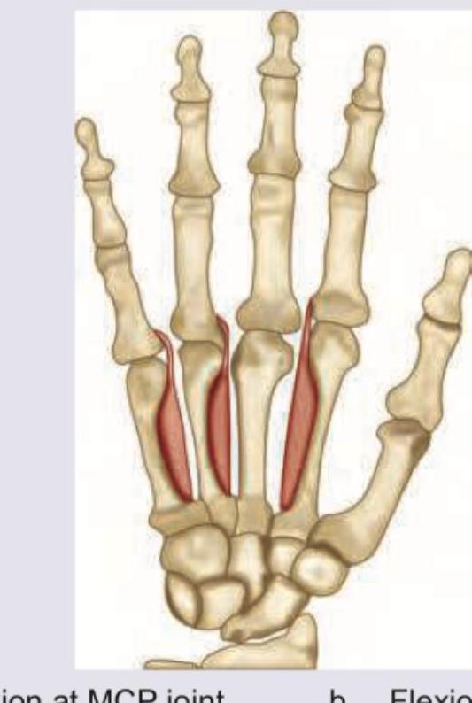 Image for question 22