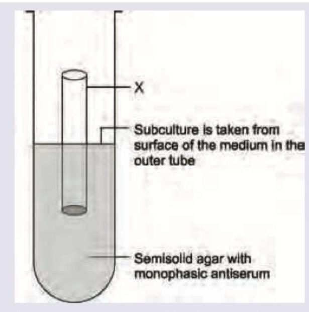 Image for question 2055