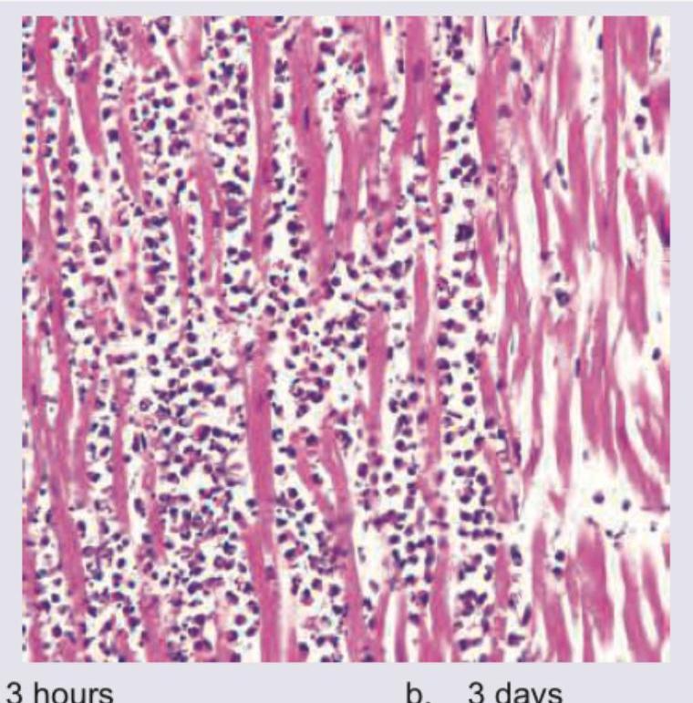 Image for question 203