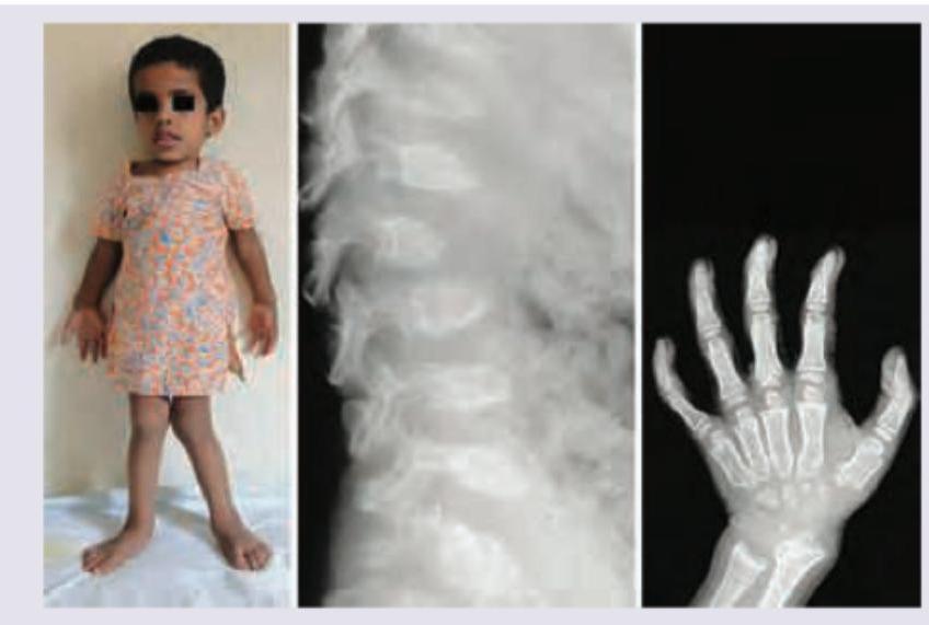 Image for question 639