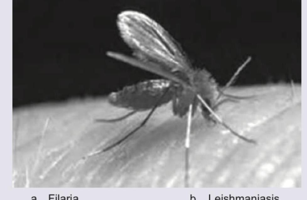 Image for question 158