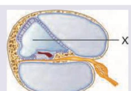 Image for question 2