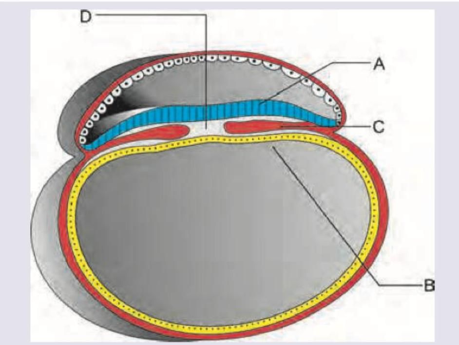 Image for question 10