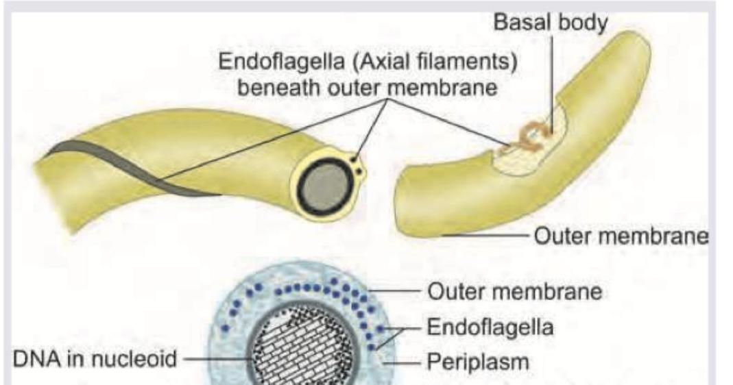 Image for question 3