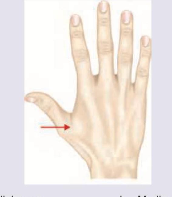 Image for question 7