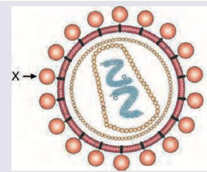 Image for question 1226