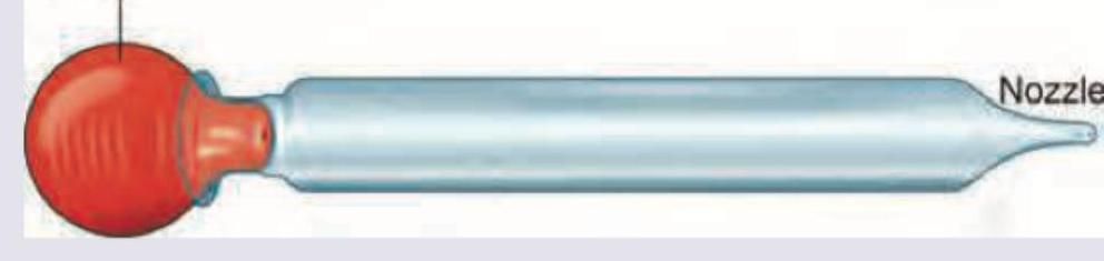 Image for question 4