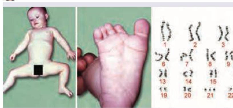 Image for question 666