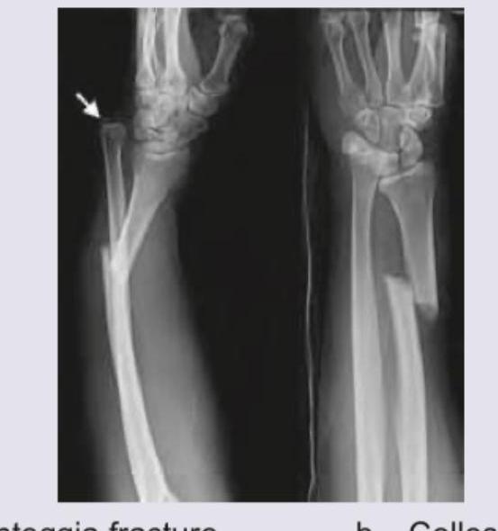 Image for question 9