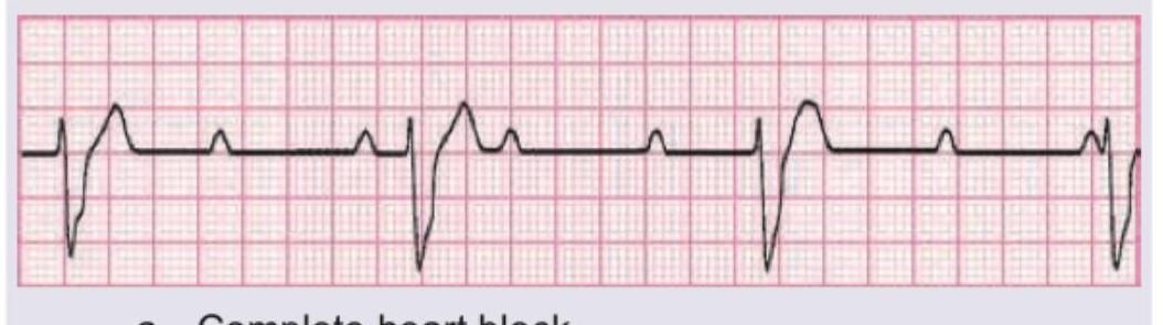 Image for question 1