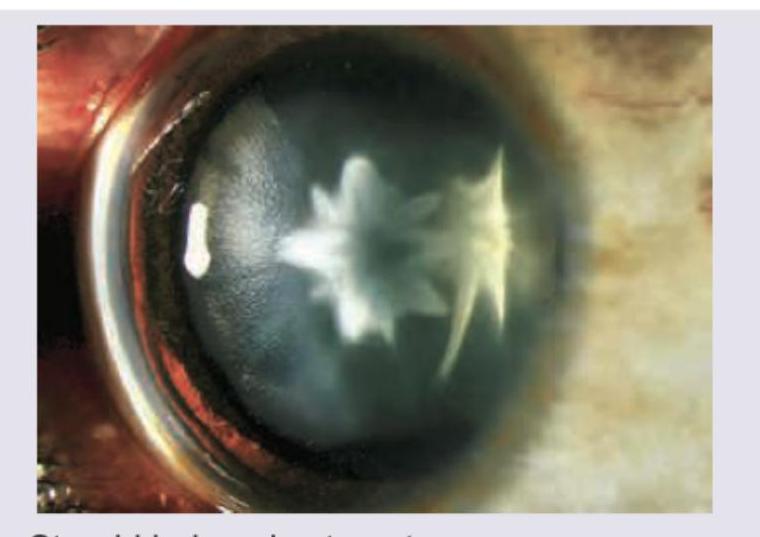 Image for question 8