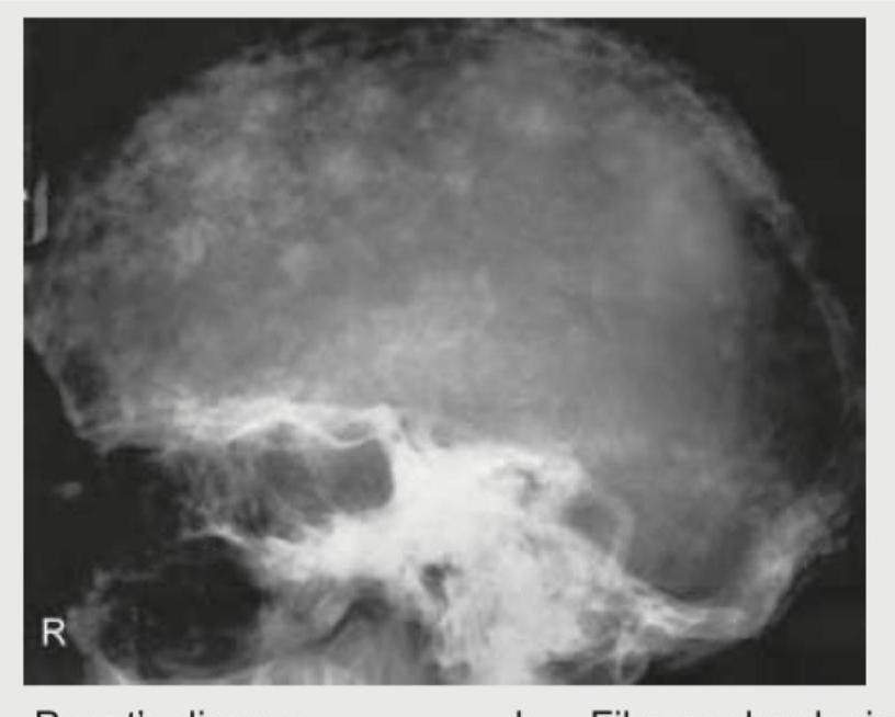 Image for question 14