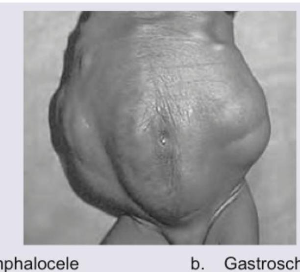 Image for question 24