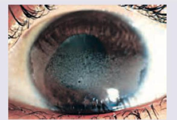 Image for question 8