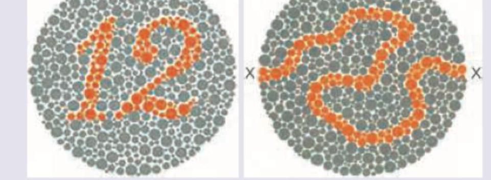 Image for question 9