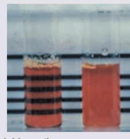 Image for question 856