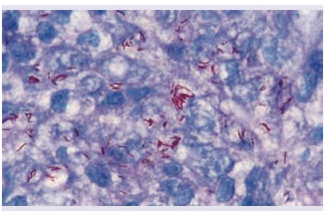 Image for question 2