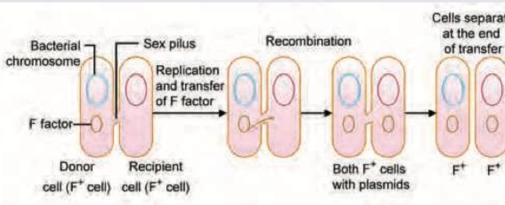 Image for question 169