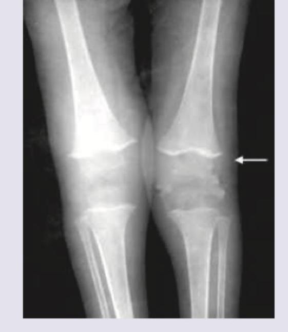 Image for question 8