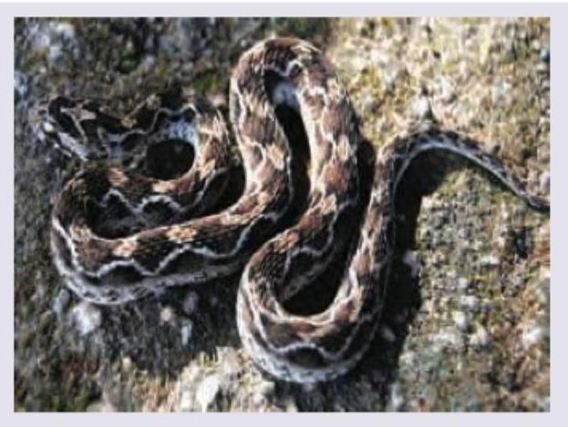 Image for question 10