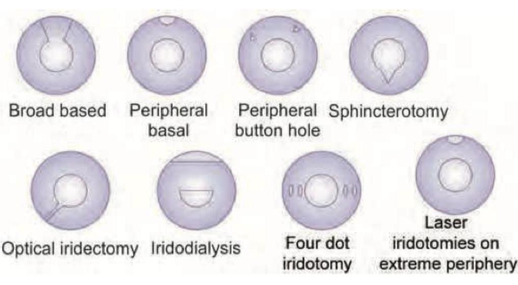 Image for question 8