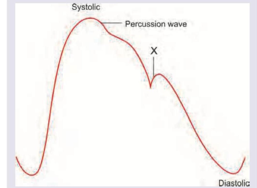 Image for question 10