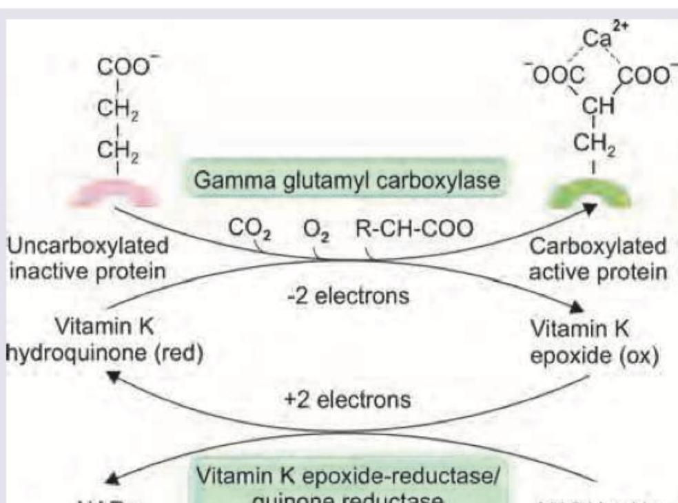 Image for question 343