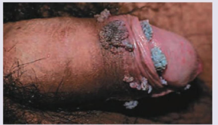 Image for question 9