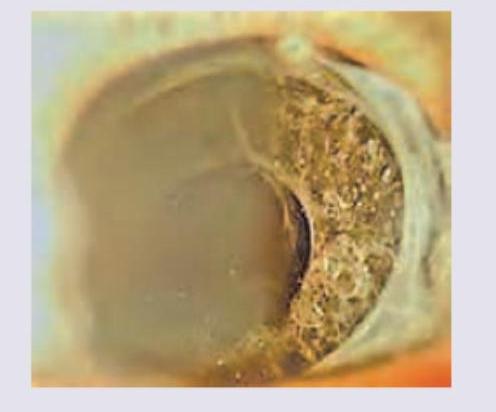 Image for question 7