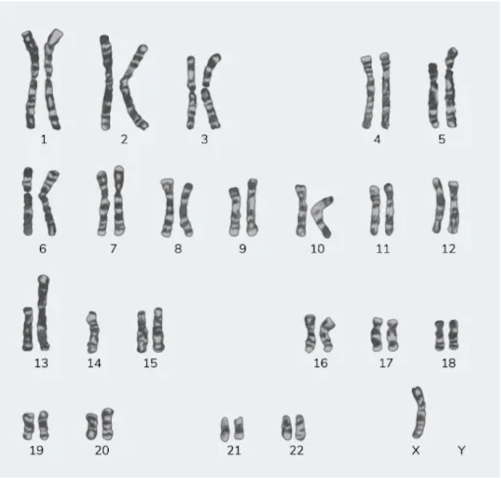 Image for question 3