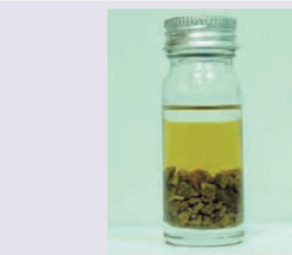 Image for question 24