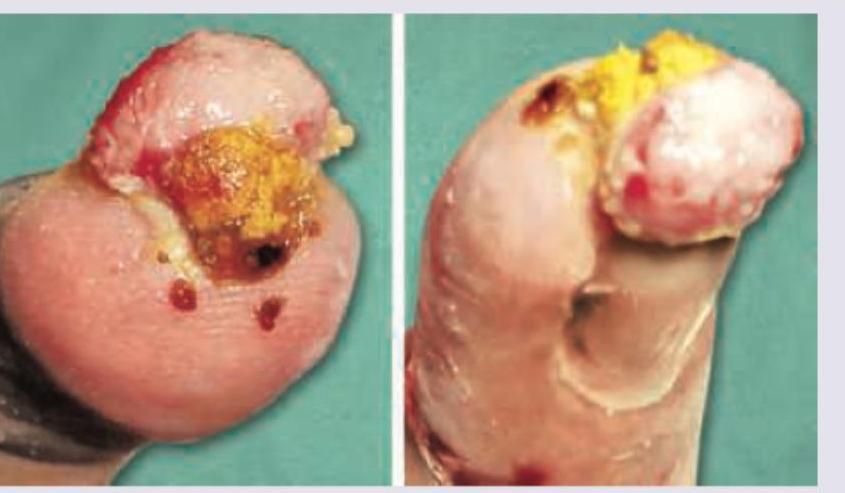 Image for question 7